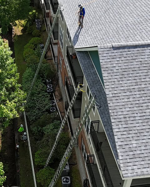 Two workers use an extremely long ladder leaning against a multi-story building, with one worker on the roof and another at the bottom near bushes.